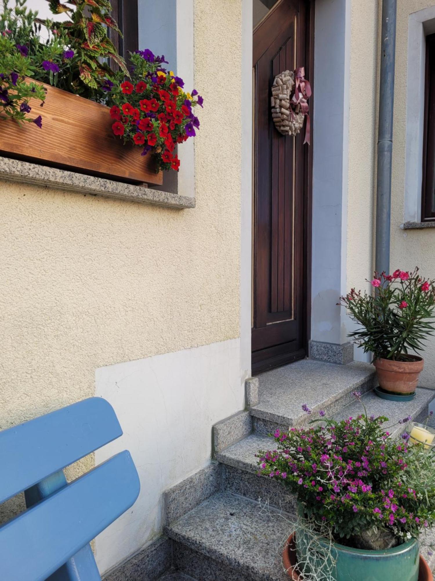 Fewo Weitblick In Hoehenlage Von Greiz Zewnętrze zdjęcie