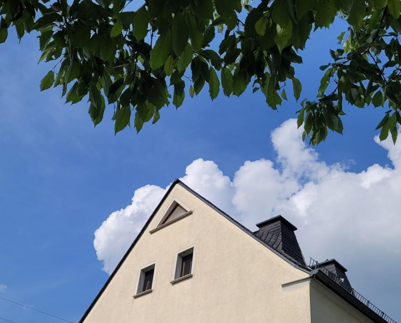 Fewo Weitblick In Hoehenlage Von Greiz Zewnętrze zdjęcie